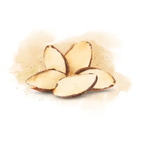 almendras fileteadas